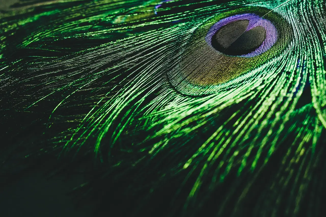 Newly Profitable Peacock Is The Feather In The Cap Of NBCU’s Planned Spinoff