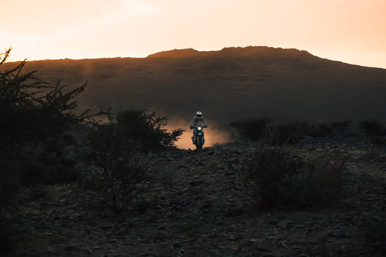 Verizon and Harley-Davidson Take Different Paths to Brand Reinvention